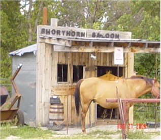 Shorthorn.jpg (34104 bytes)