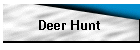 Deer Hunt