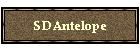 SDAntelope