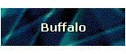 Buffalo