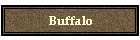 Buffalo