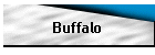 Buffalo
