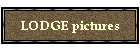 LODGE pictures