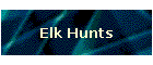 Elk Hunts