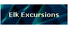 Elk Excursions