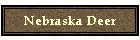 Nebraska Deer