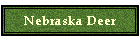 Nebraska Deer