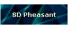 SD Pheasant