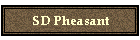 SD Pheasant