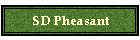 SD Pheasant