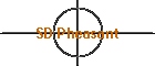 SD Pheasant