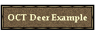OCT Deer Example