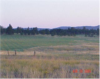 Hay2S.jpg (19280 bytes)