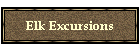 Elk Excursions