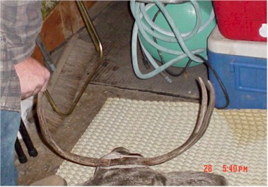 me and buckweb2.jpg (35045 bytes)